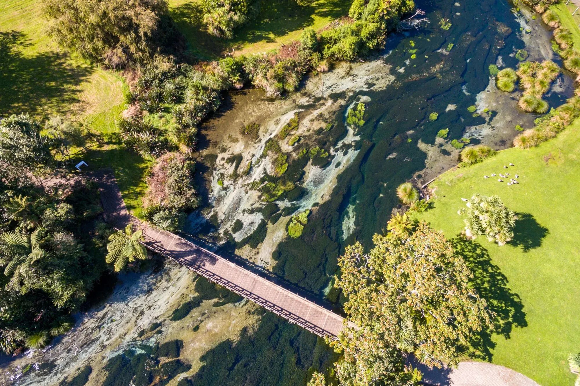 Hamurana Springs