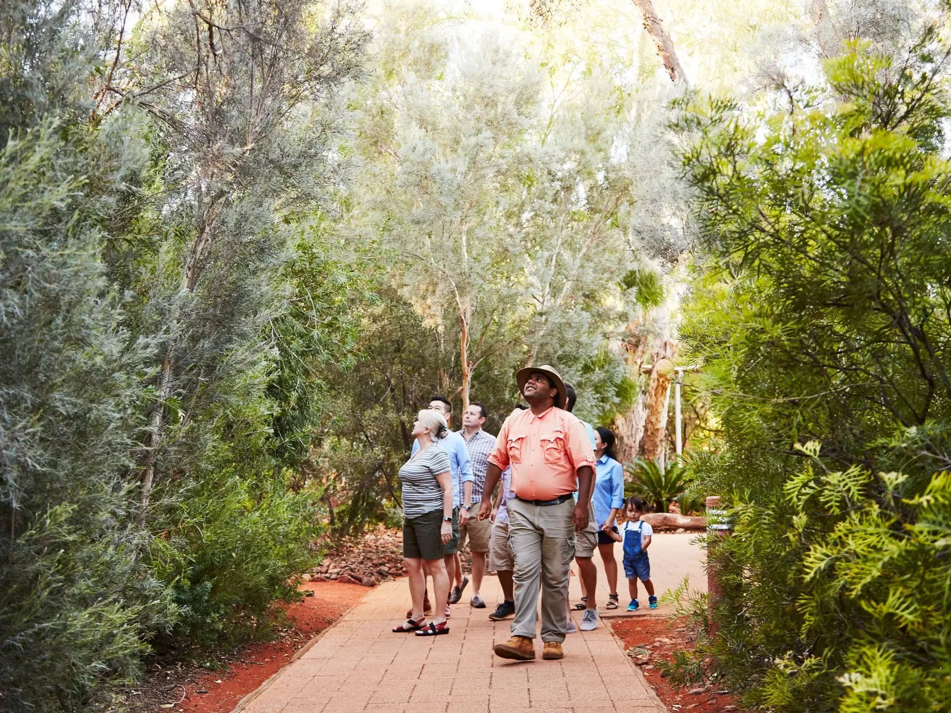 Guided Garden Walks