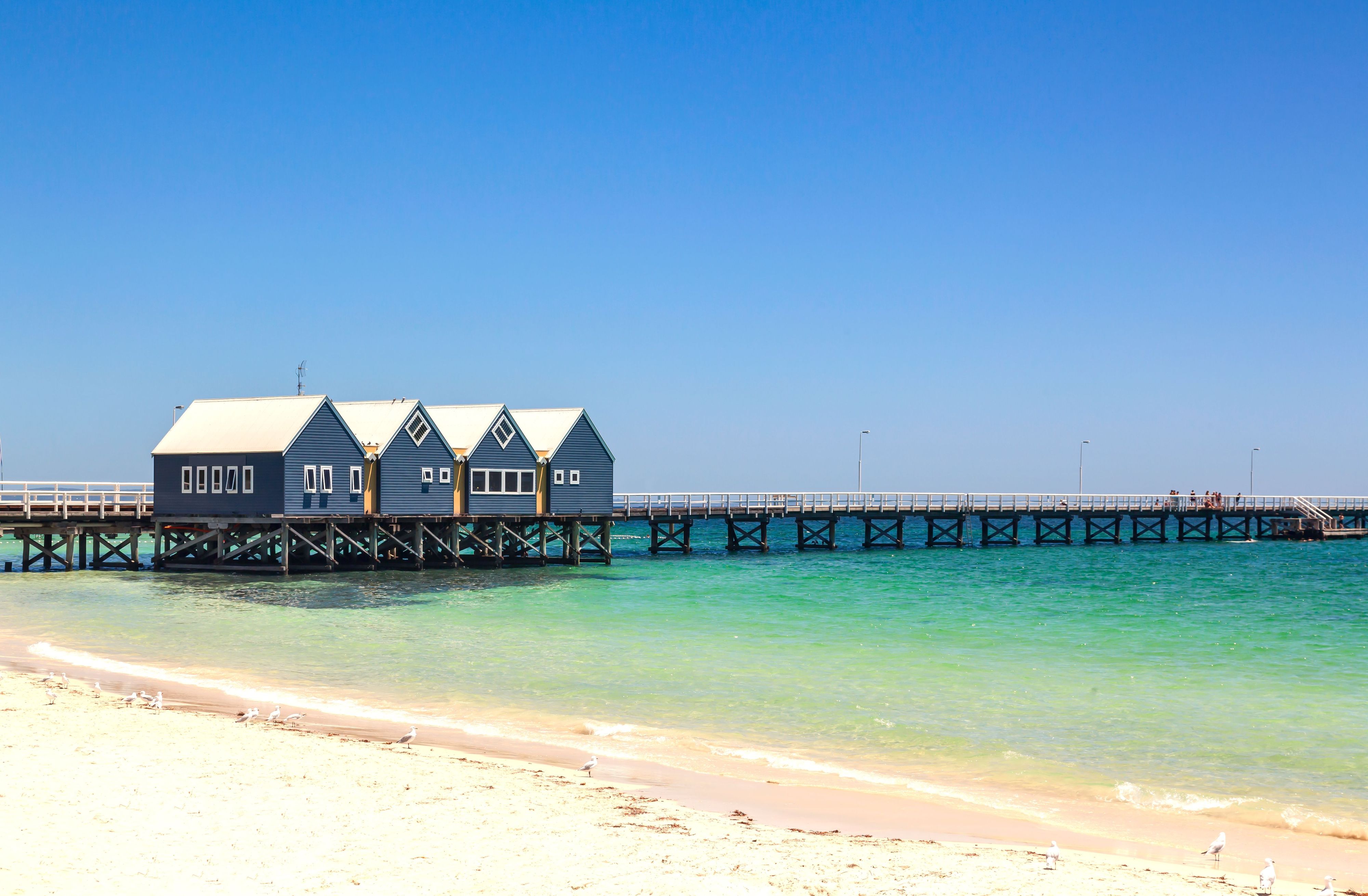 Busselton Highlights