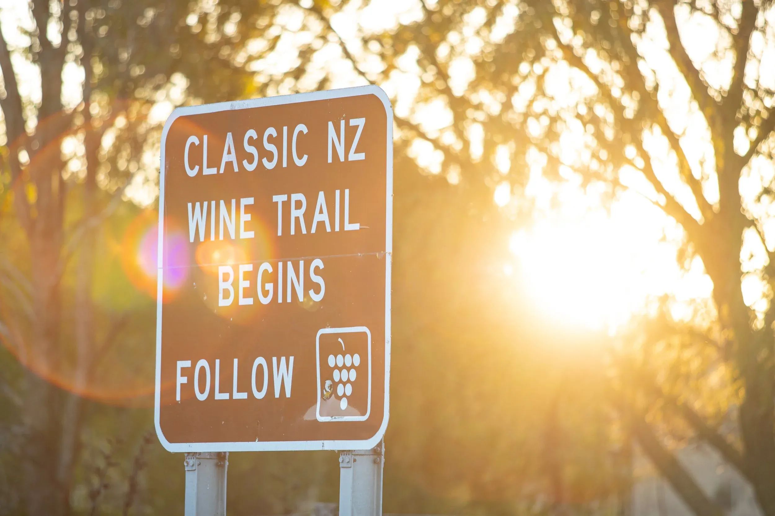 Wine Trail Sign