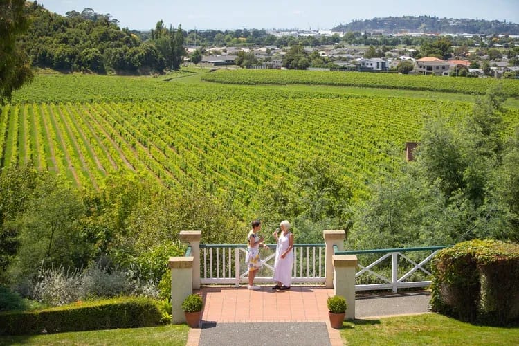 Mission Estate