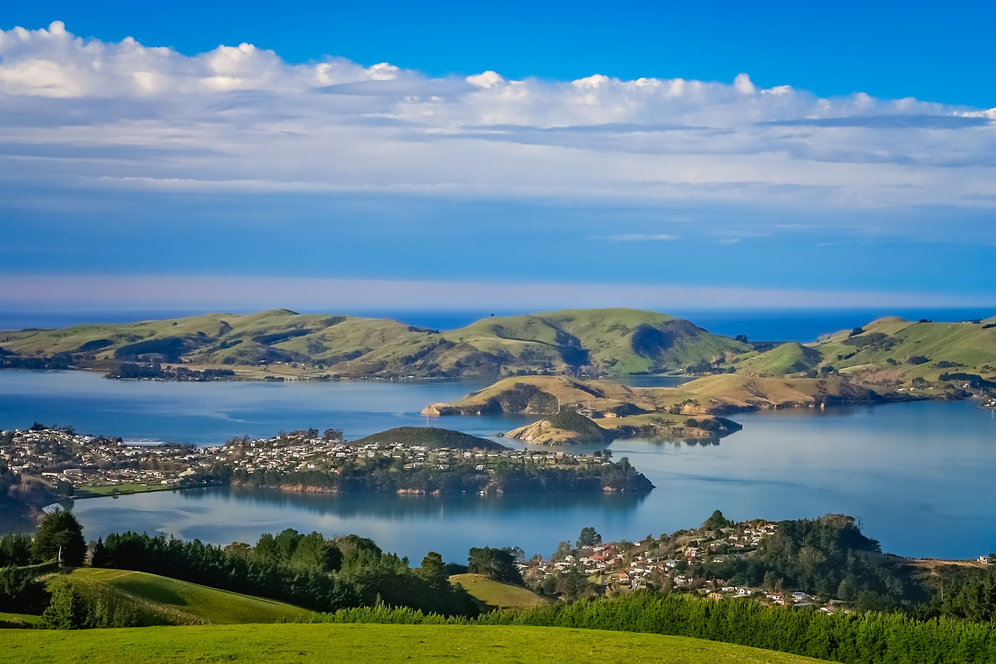 Albatross, Castles, and Campfires: Discover Dunedin