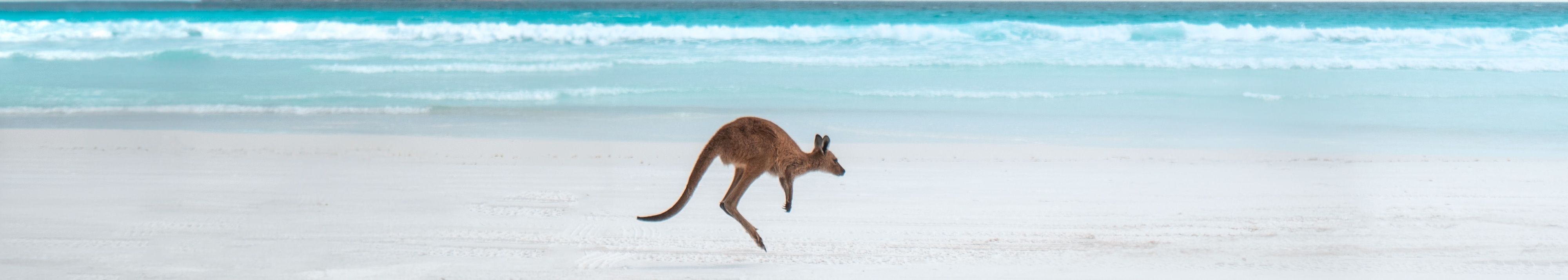 Highlights of Esperance and the Golden Outback