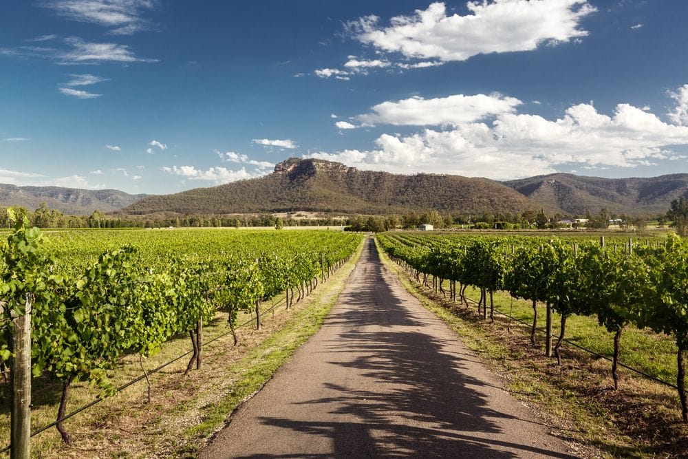 Hunter Valley.jpg