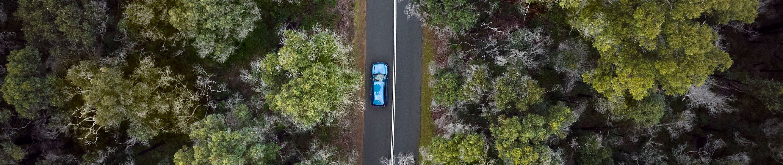 Margaret River and the South West Highlights