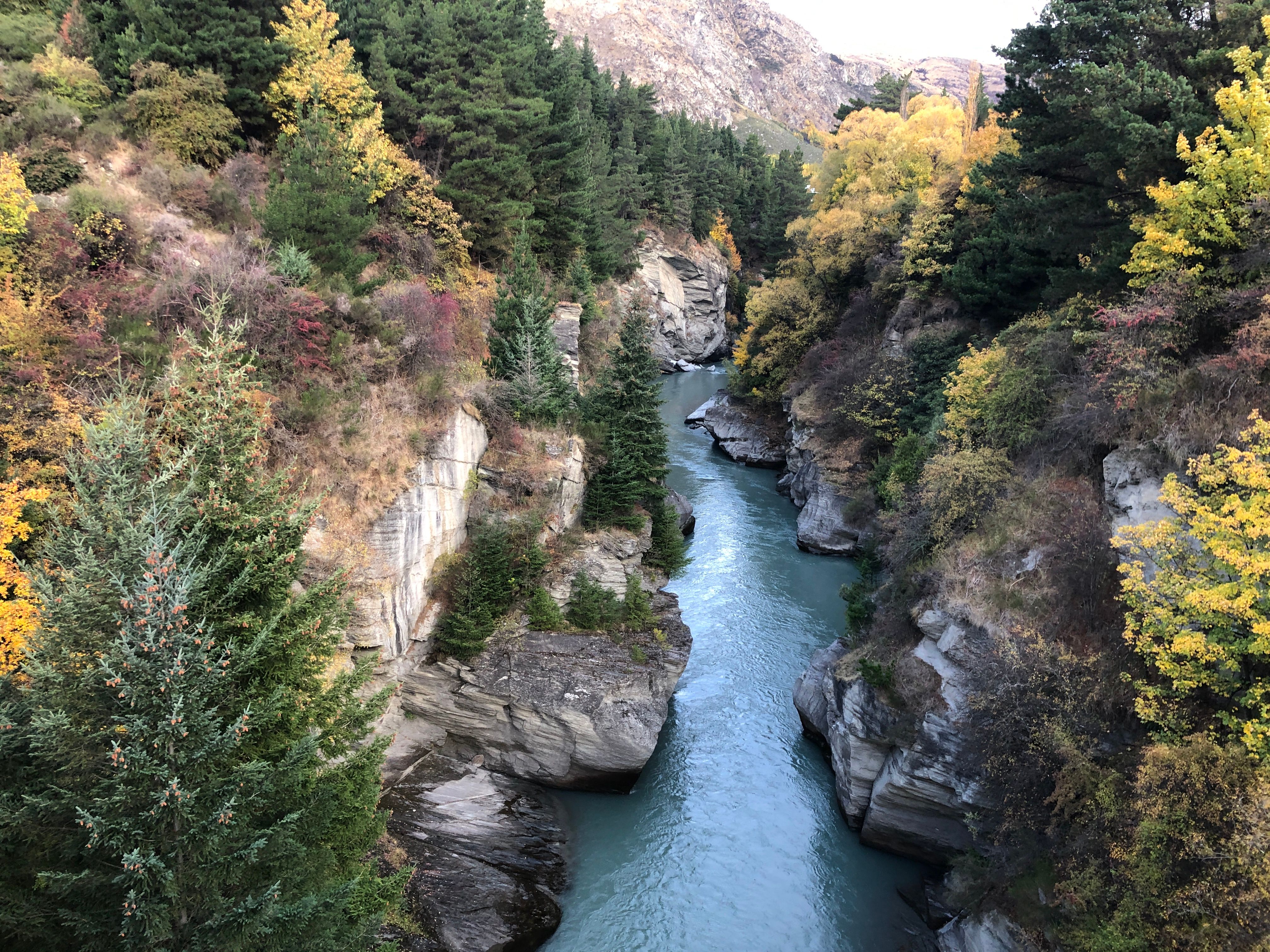 The Shotover Gorge from Edith Cavell Bridge.JPG