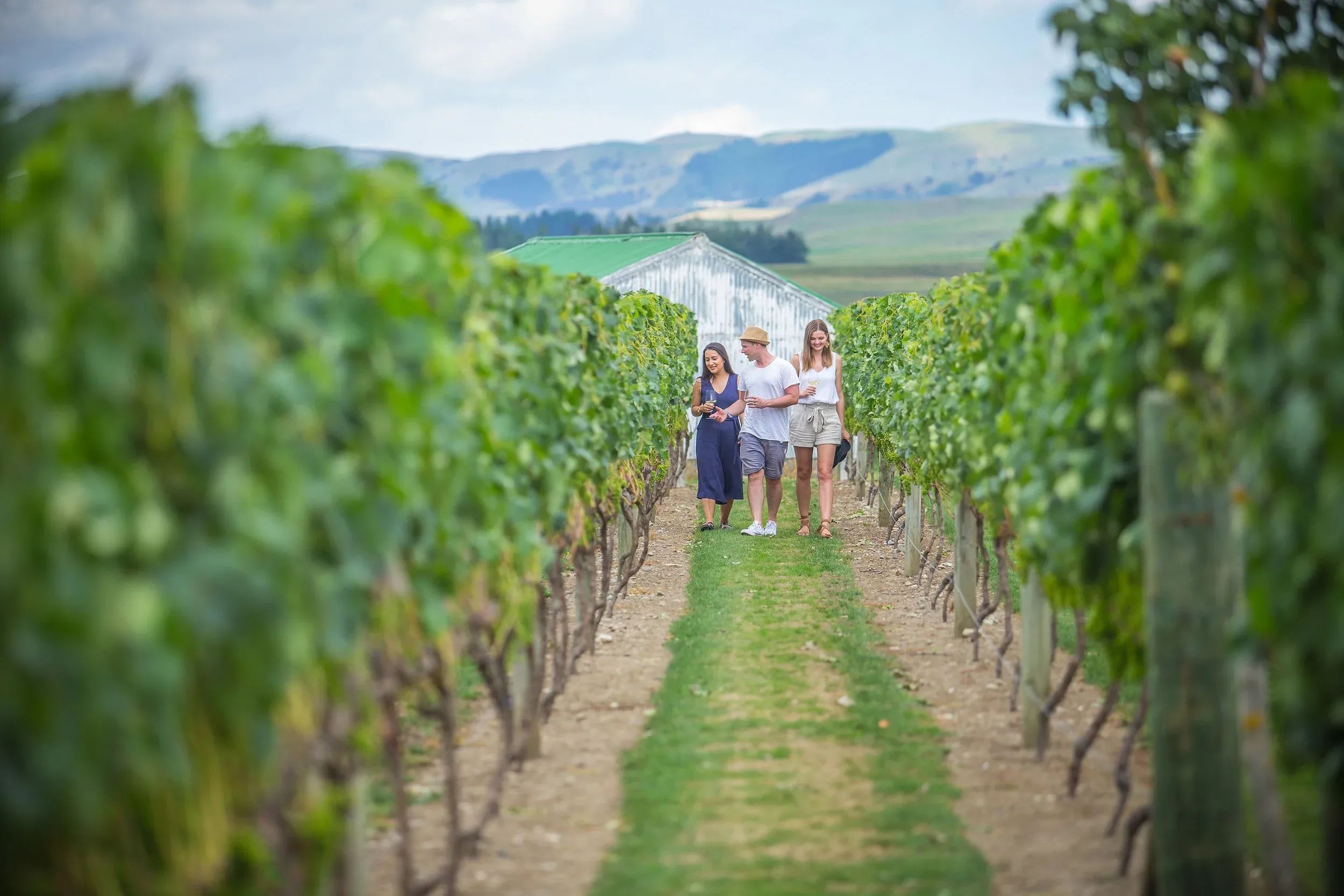 Martinborough Vineyard