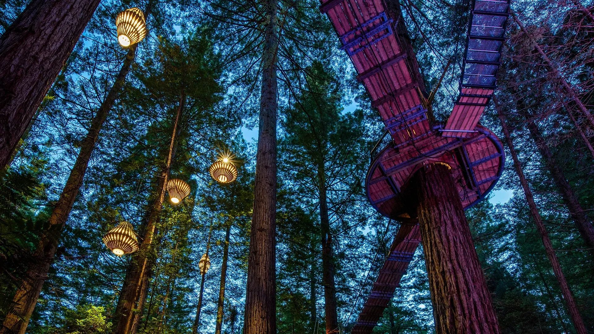 Redwoodfs Nightlights