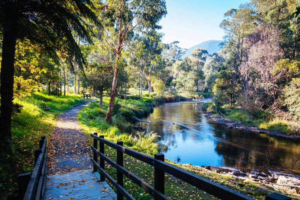 Yarra River Walking Trail, Warburton