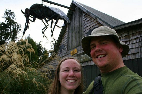 the-bushmans-centre.jpg