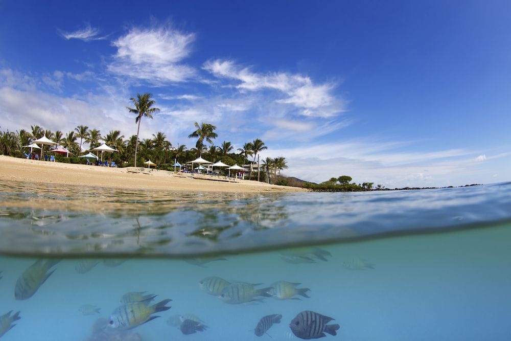 Whitsunday Island Resort