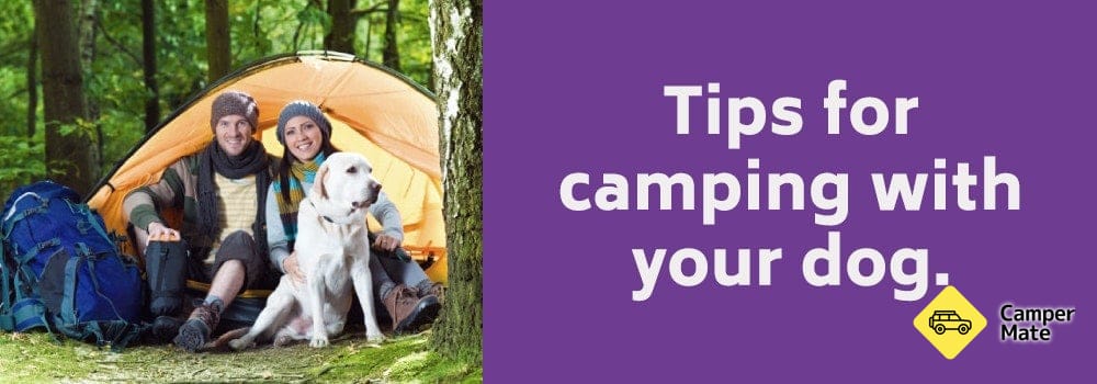 The Ultimate Camping Guide for Beginners