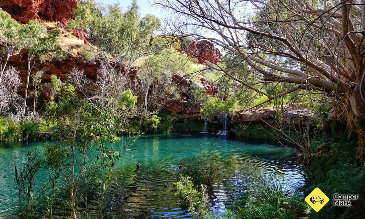 Fern Pool