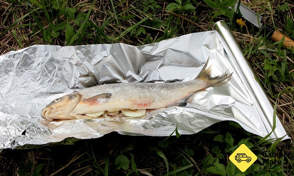 How to Cook Fish on a Campfire