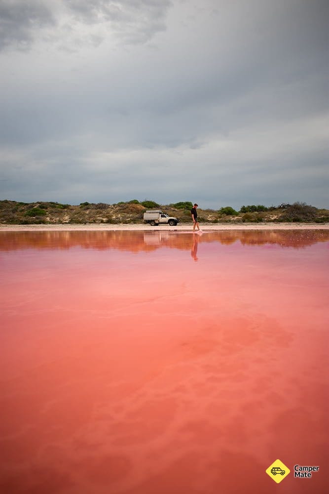 Hutt Lagoon och Pink Lake