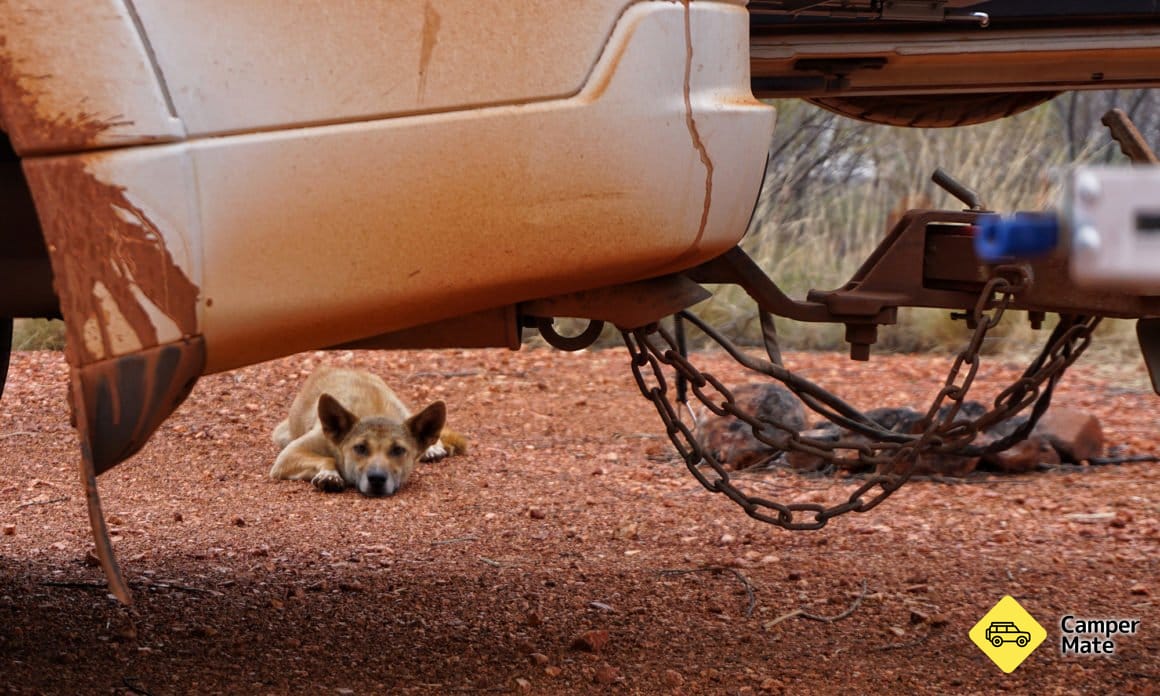 The Tanami Track – Adventures in Outback Australia