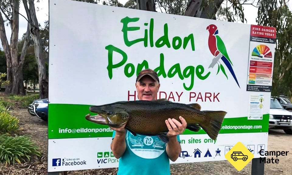 Check out this monster caught recently by an Eildon local!