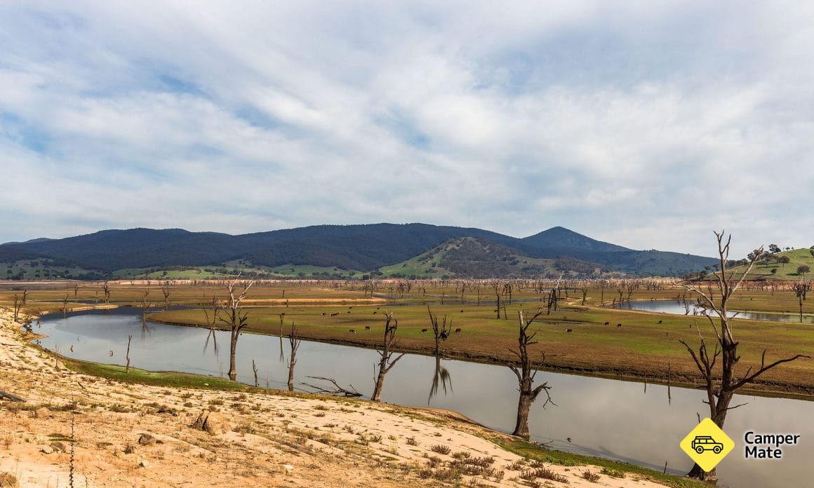 The Murray River's low waters show its true course