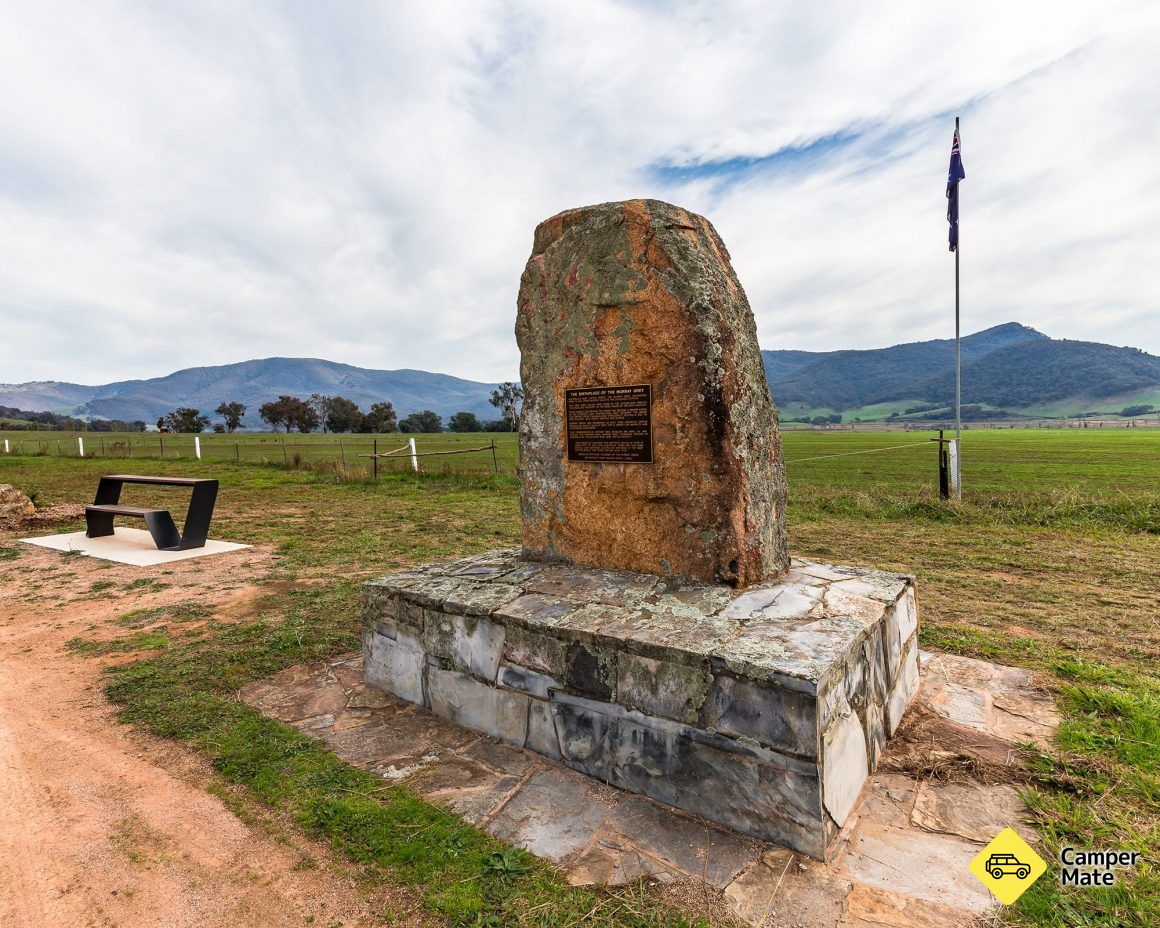 Murray Grey Cattle monuement