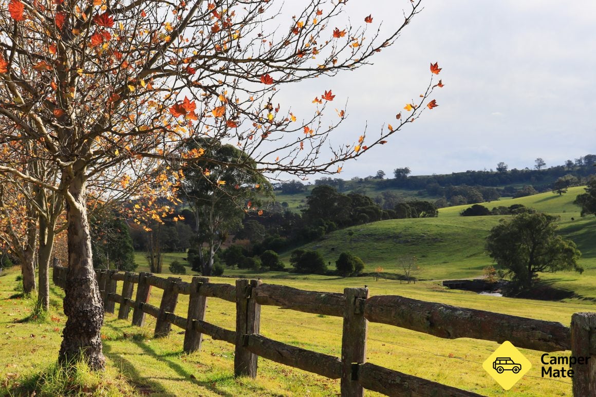 Rural views of paddocks and deciduous autumn trees near Bowral in the Southern Highlands